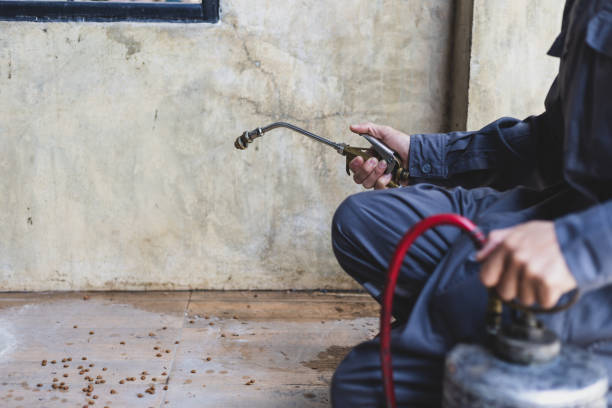 Best Best Pest Control Near Me  in Dunbar, SC